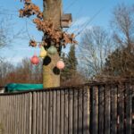 Warum so viele Hausbesitzer auf Doppelstabmattenzäune setzen?